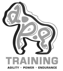 A.P.E TRAINING AGILITY · POWER · ENDURANCE logo