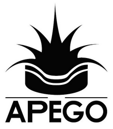 APEGO logo