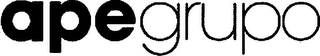 APEGRUPO logo