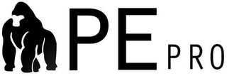 APEPRO logo