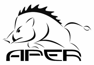 APER logo