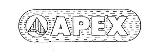 APEX logo