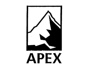 APEX logo
