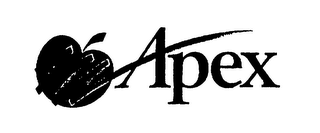 APEX logo