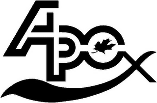 APEX logo