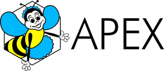 APEX logo
