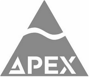 APEX logo