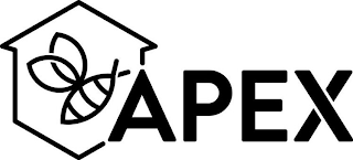 APEX logo