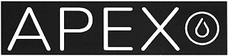 APEX logo