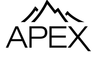 APEX logo
