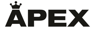 APEX logo