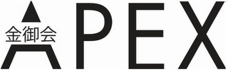APEX logo