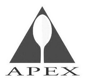 APEX logo