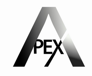 APEX logo