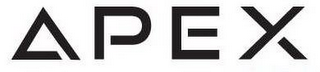 APEX logo