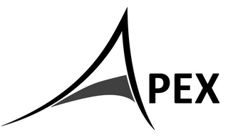 APEX logo