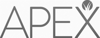 APEX logo