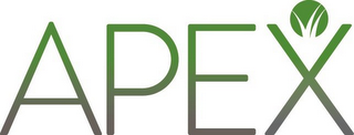 APEX logo