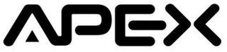 APEX logo