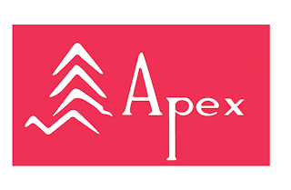 APEX logo