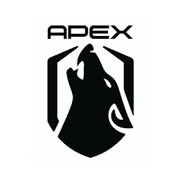 APEX logo