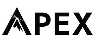APEX logo