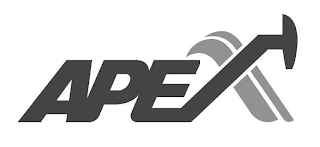 APEX logo