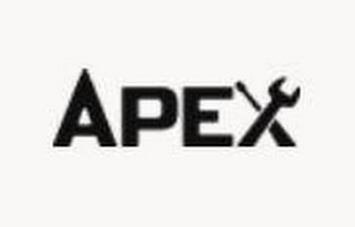 APEX logo
