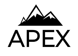 APEX logo
