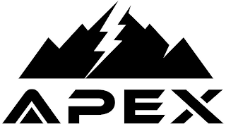 APEX logo