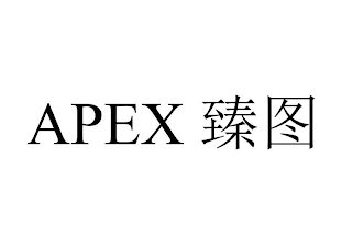 APEX logo