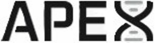 APEX logo