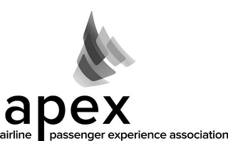APEX AIRLINE PASSENGER EXPERIENCE ASSOCIATION logo