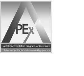 APEX ASTRO ACCREDITATION PROGRAM FOR EXCELLENCE SAFETY AND QUALITY FOR RADIATION ONCOLOGY PRACTICE logo