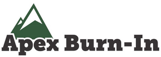 APEX BURN-IN logo