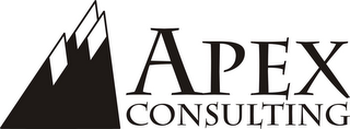 APEX CONSULTING