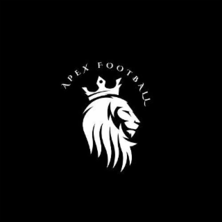 APEX FOOTBALL logo