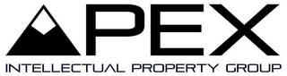 APEX INTELLECTUAL PROPERTY GROUP logo