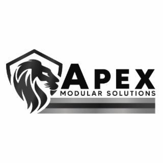 APEX MODULAR SOLUTIONS logo
