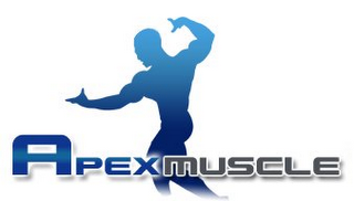 APEX MUSCLE logo