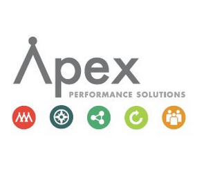 APEX PERFORMANCE SOLUTIONS logo