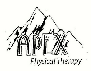 APEX PHYSICAL THERAPY