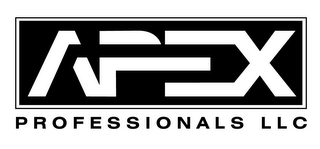 APEX PROFESSIONALS LLC logo
