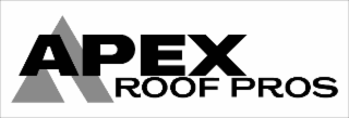 APEX ROOF PROS logo