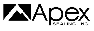 APEX SEALING INC. logo