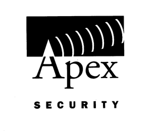 APEX SECURITY logo