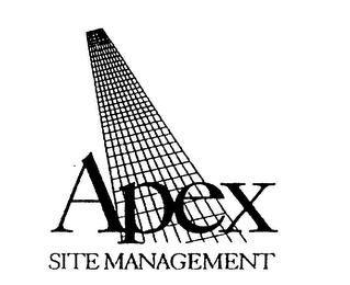 APEX SITE MANAGEMENT logo