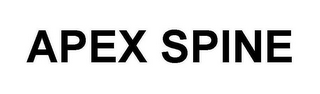 APEX SPINE logo