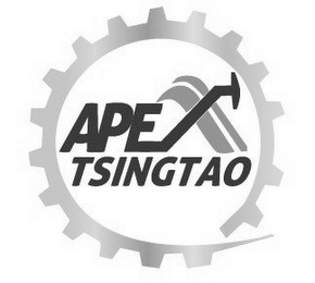 APEX TSINGTAO logo