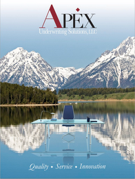 APEX UNDERWRITING SOLUTIONS, LLC QUALITY SERVICE INNOVATION logo